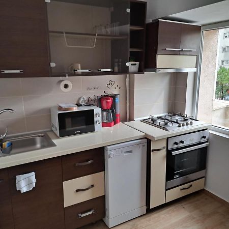 Ferienwohnung Apartament Titulescu/Banu Manta Bukarest Exterior foto